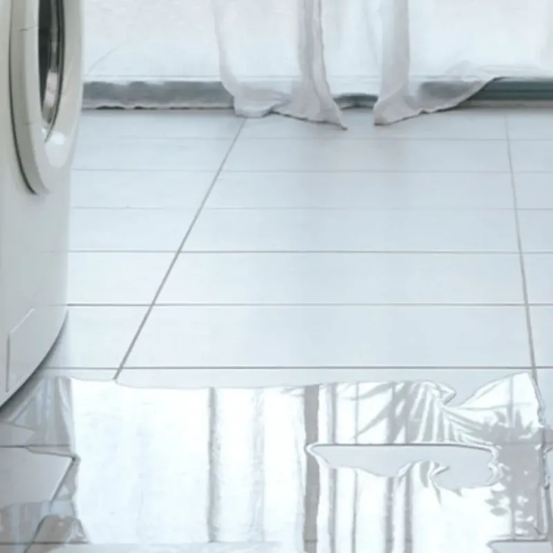 Appliance Leak Cleanup in Mount Greenwood, IL