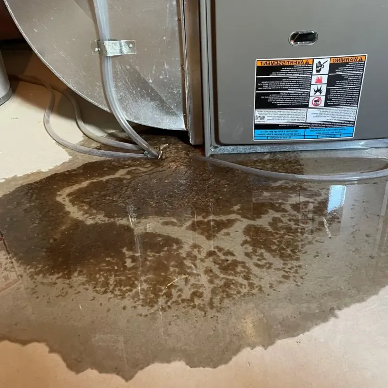 Pipe Burst and Leak Restoration in Mount Greenwood, IL