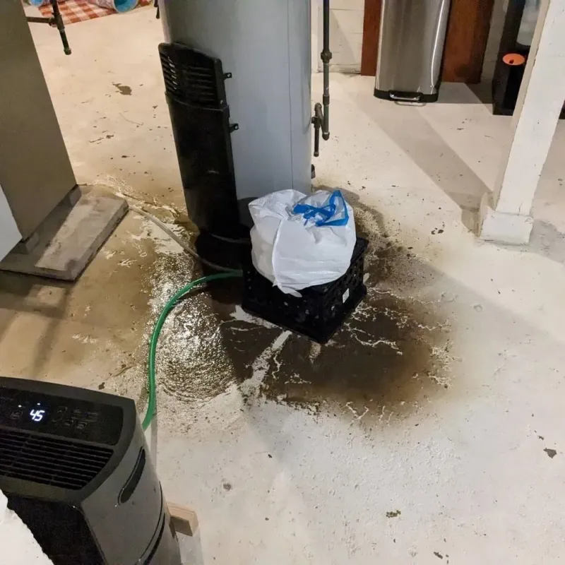 Sewage Backup Cleanup Service in Mount Greenwood, IL